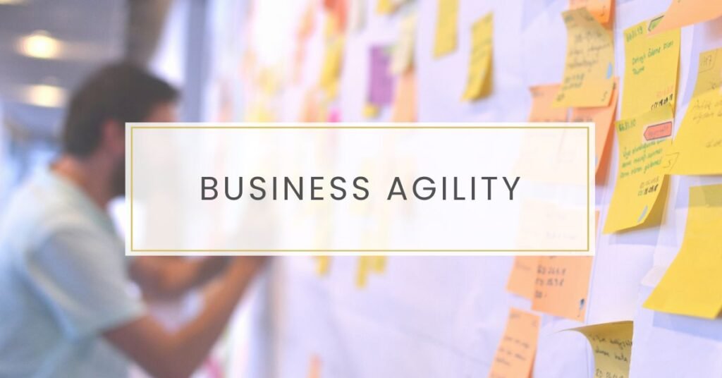 Understanding Business Agility